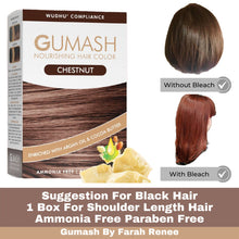Load image into Gallery viewer, Chestnut Hair Color By Gumash
