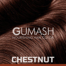 Load image into Gallery viewer, Chestnut Hair Color By Gumash
